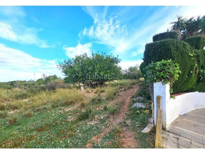 Foto 0c426f76-9bbc-4297-ae95-8de8a41202a3. Propriété dans Clarà Torredembarra