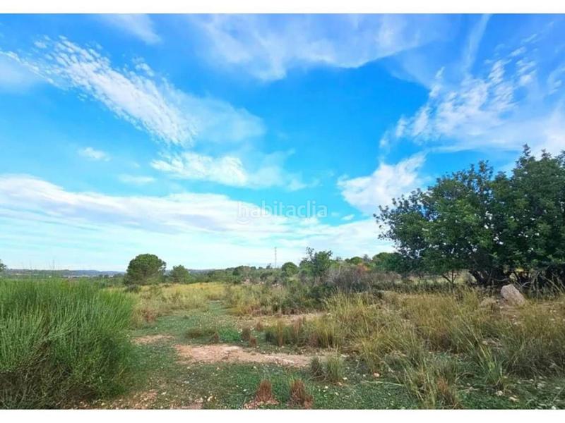 Foto ce1a53bc-f89a-4780-b4f4-69733d042b66. Propriété dans Clarà Torredembarra