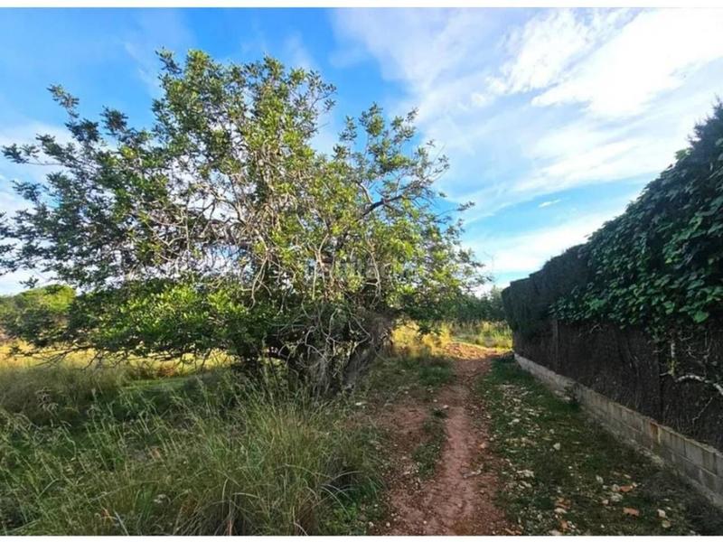 Foto cf8296ba-d2f5-4468-8545-e5e441dcb2ab. Propriété dans Clarà Torredembarra