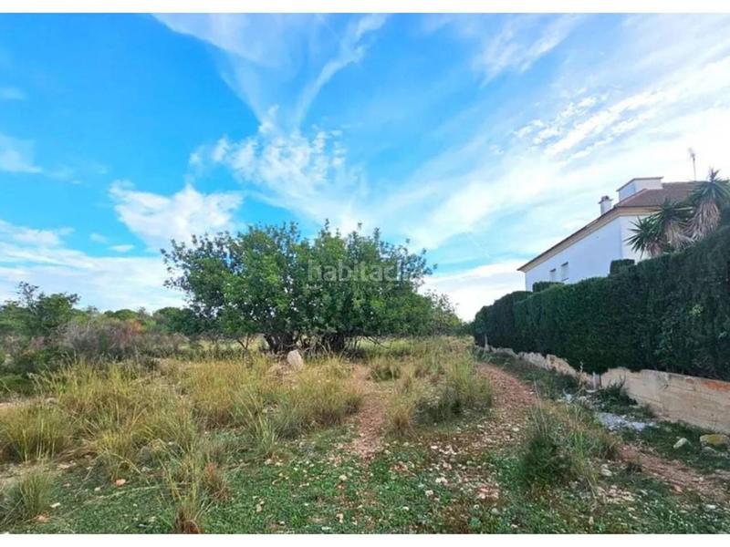 Foto 6078776e-0407-484c-925b-403e17eebbe3. Finca rústica en Clarà Torredembarra
