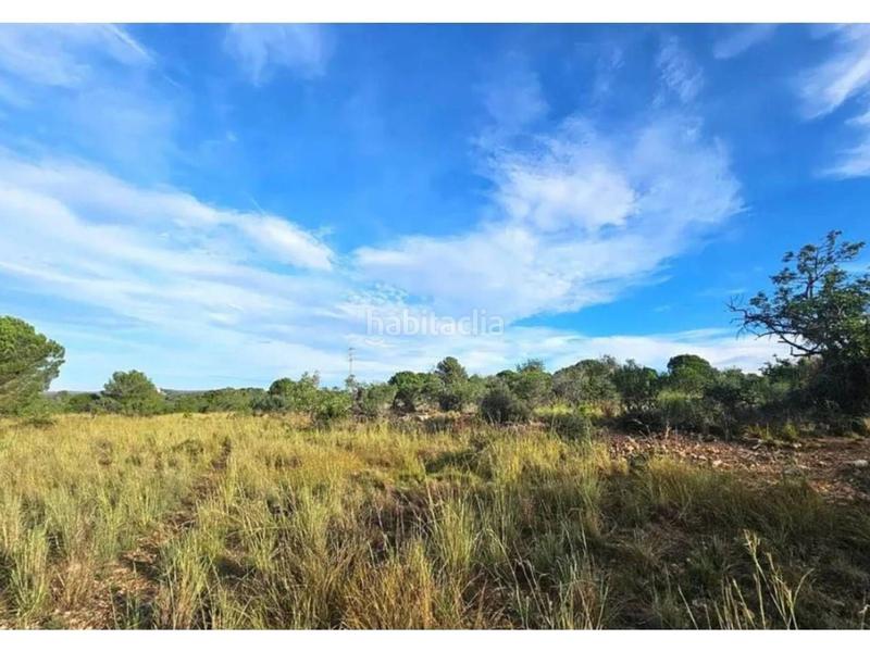 Foto 82197dff-7ab5-4307-aae3-e8ea62b21b85. Finca rústica en Clarà Torredembarra