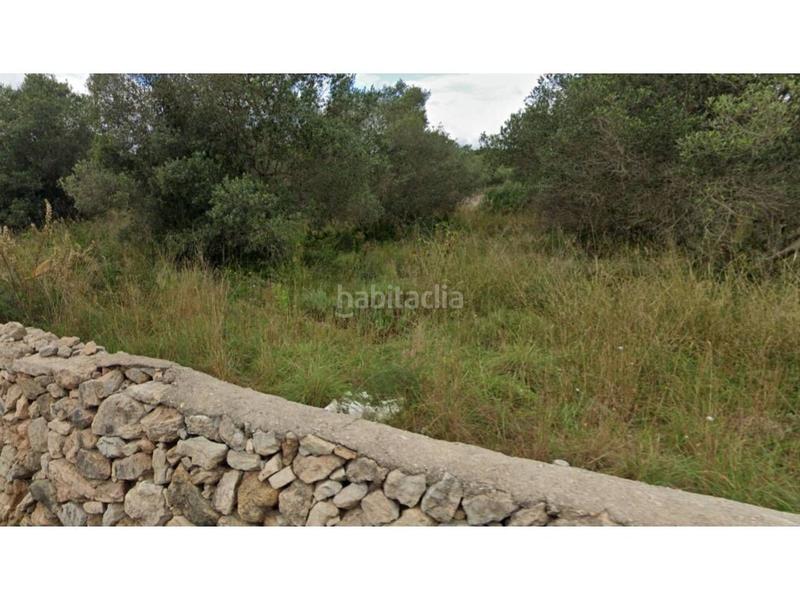 Foto b81fc81e-8ad4-4f14-9680-49dd05671abe. Fondo rustico in Llevant Tarragona