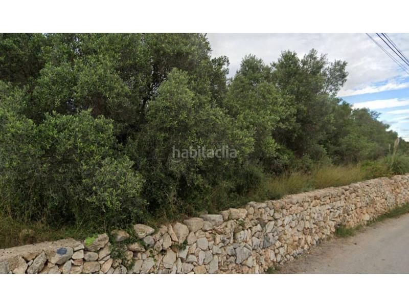 Foto fa799da6-139f-46dd-af7e-0107063c99bf. Landgut in Llevant Tarragona