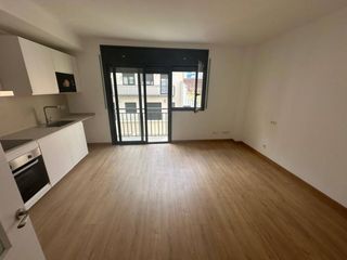 Flat  Calle del pintor togores