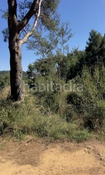 Foto 7533d150-e79f-44f5-a4b2-0f2417ce1b91. Terreno residencial solares en cambrils en Riudecanyes