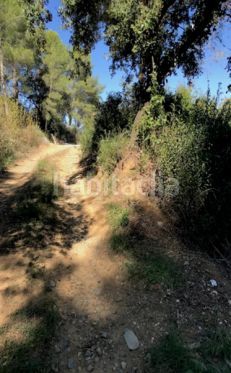 Foto be7b996b-3f11-4f82-b4d7-809386ef6404. Terreno residencial solares en cambrils en Riudecanyes