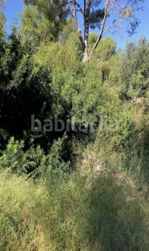 Foto f7119bc6-37af-4156-ba76-f8dedafcbee1. Terreno residencial solares en cambrils en Riudecanyes