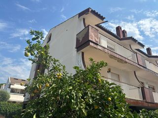 Towny house  Pins dels