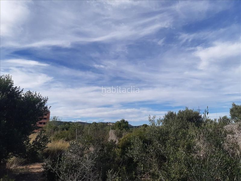 Foto 4030bf03-db81-4d6c-9026-d4ac0078864c. Terreny residencial a Coma-ruga platja Coma-ruga