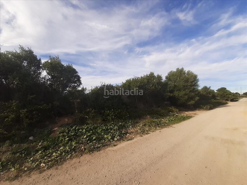 Foto 60b9b676-dad9-4543-9cd2-a3c6986e70ab. Terreny residencial a Coma-ruga platja Coma-ruga