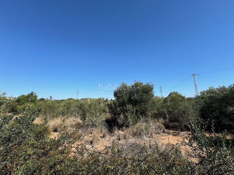 Foto e4b11ec9-a83c-47b9-8163-d7707f6c933e. Terreny residencial a Coma-ruga platja Coma-ruga