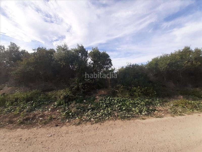 Foto eecd7aee-9e2b-4cc8-9f35-474511434a4e. Terreny residencial a Coma-ruga platja Coma-ruga