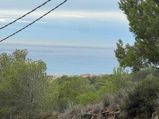 Residential Plot  Carrer comtessa castell de la mota, 10
