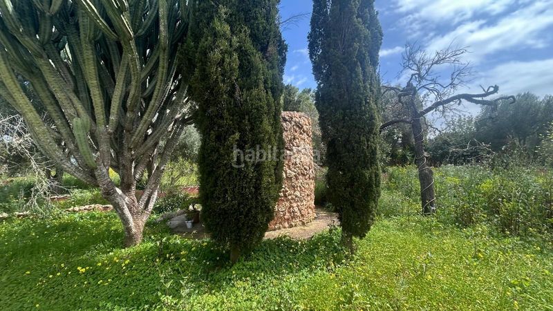 Foto 5af9375a-6bec-41d0-b9a0-7627a3a70354. Casa amb aparcament piscina a Algaida