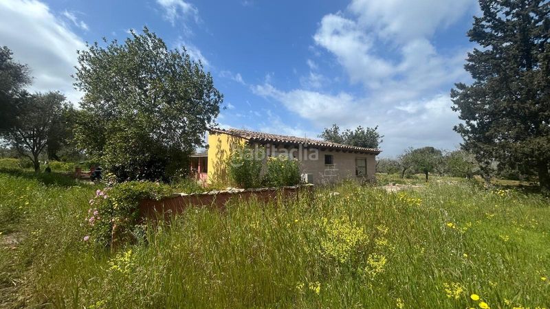 Foto 878116ca-a431-44d9-aa98-7ea2f42fc377. Casa amb aparcament piscina a Algaida