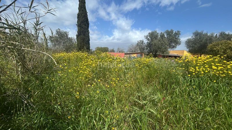 Foto f960fb62-52e8-4aca-8378-582814d22cbb. Casa amb aparcament piscina a Algaida