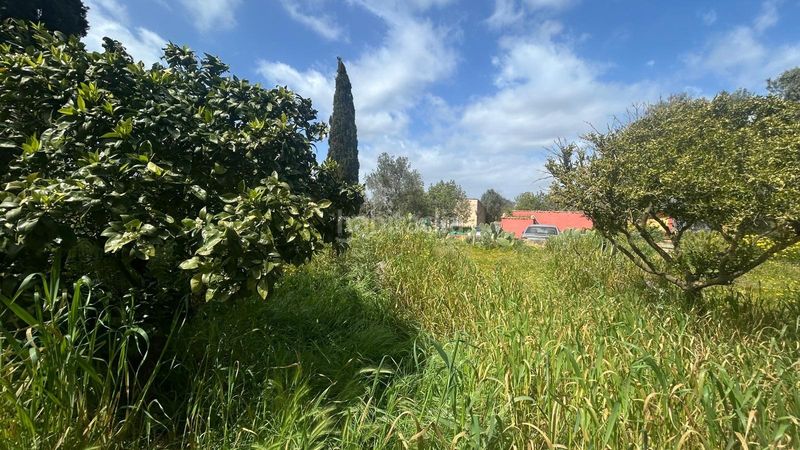 Foto fc77032a-5936-49f8-8c18-8b8f57986b09. Casa amb aparcament piscina a Algaida