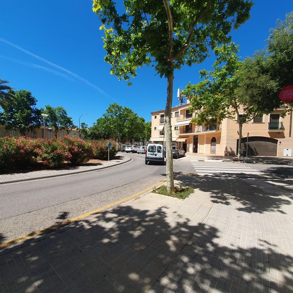 Foto 17fe9494-ca8d-4771-ae92-2588a7954907. Lloguer local comercial a plaça pare antoni ramón pasqual 8 a Palma de Mallorca