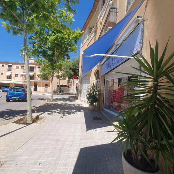 Foto 279d0467-fb24-4bb5-b339-3d7bf99e2d5a. Lloguer local comercial a plaça pare antoni ramón pasqual 8 a Palma de Mallorca