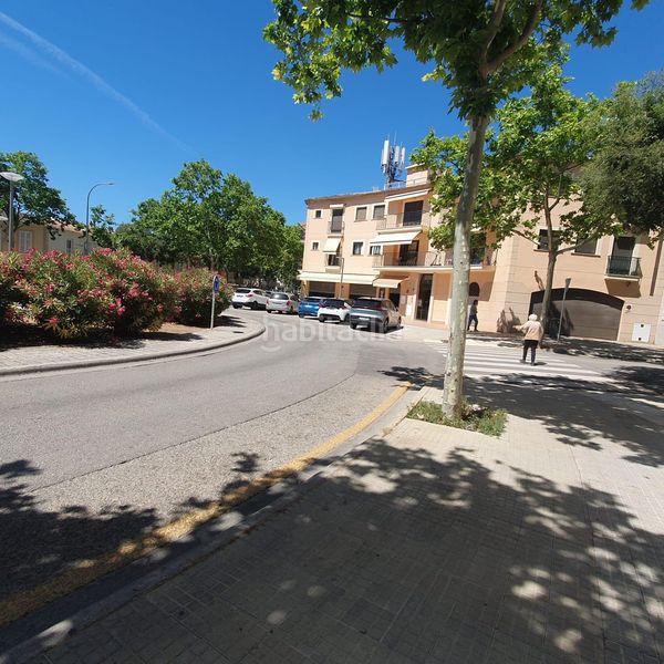 Foto 3cbd2ccc-d0c1-400b-a078-477de6182f85. Lloguer local comercial a plaça pare antoni ramón pasqual 8 a Palma de Mallorca