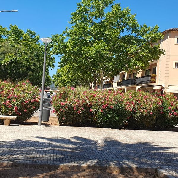 Foto 9cc0c84c-868f-40e1-a89a-27f03915a2fd. Lloguer local comercial a plaça pare antoni ramón pasqual 8 a Palma de Mallorca