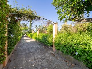 Masia a Establiments. Exclusiva finca rústica en secar de la real vivienda con piscina