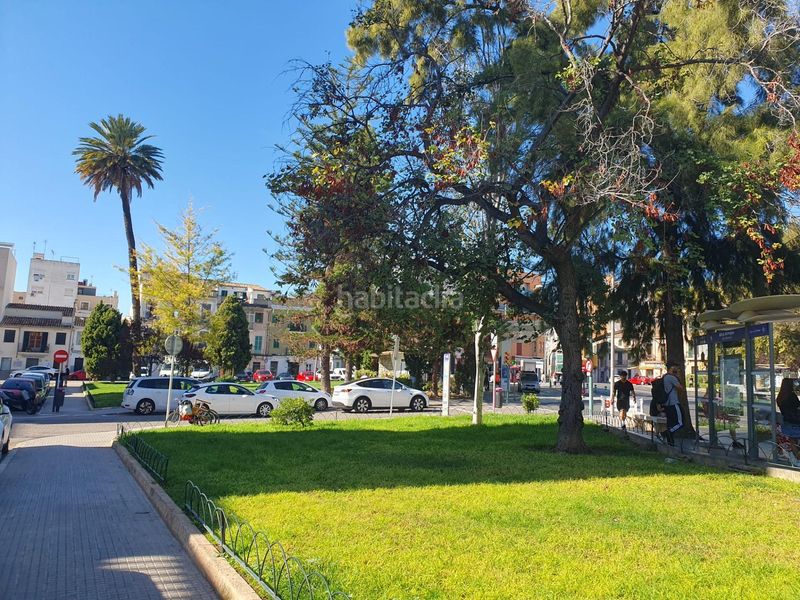 Foto c03687aa-6148-4b5d-bcdf-b004994f2dd8. Pis a Santa Catalina Palma de Mallorca