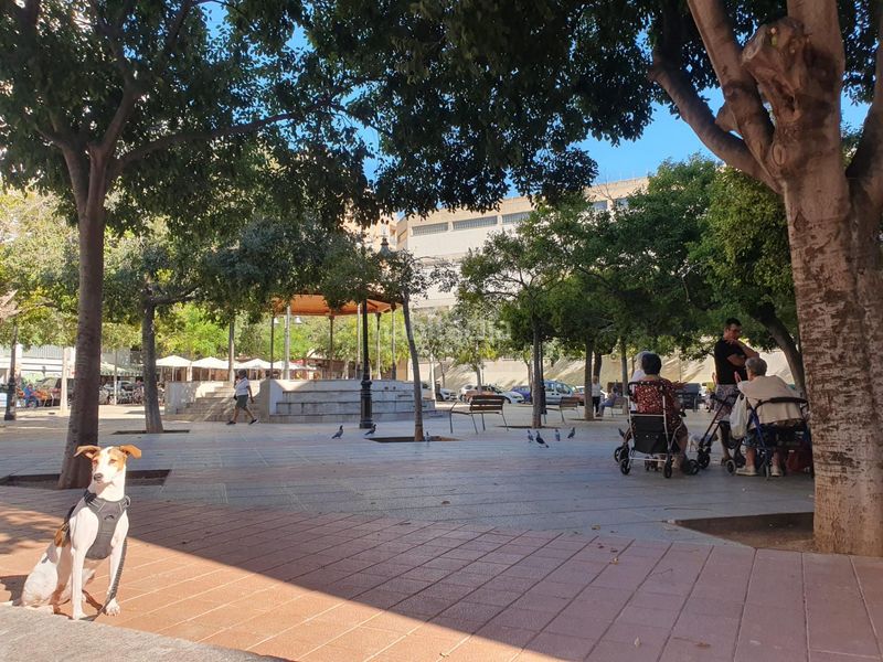 Foto c6748b2b-652d-4be4-905d-a07d4eab1a86. Pis a Santa Catalina Palma de Mallorca