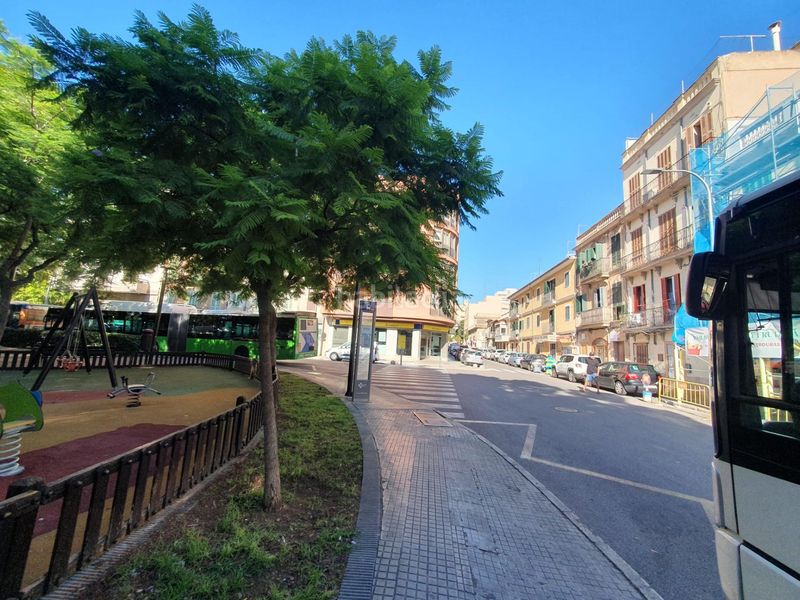 Foto d4f90f1b-11f3-4b6b-ad06-7fbbd83e1eb4. Pis a Santa Catalina Palma de Mallorca