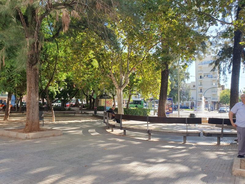 Foto f15cc446-4807-4c14-a32d-a7557a7e8dcd. Pis a Santa Catalina Palma de Mallorca