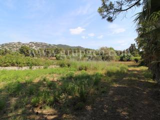 Terreny residencial a Montgoda. Parcela situada en la montgoda