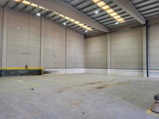 Rent Industrial building  Acequia del primer braçs. Nave industrial en alquiler en massanassa