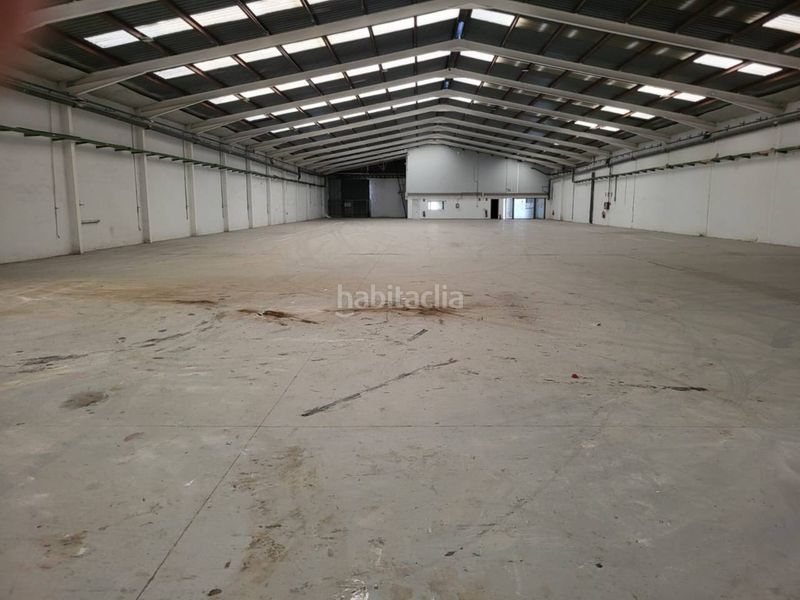 Foto b5017a8c-8f71-45d8-99d3-48436d4faa27. Location bâtiment à usage industriel dans Carlet