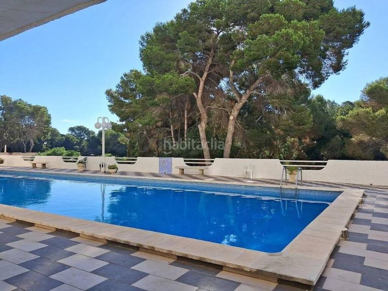 Foto 40dba8e3-3464-4381-9768-80d9746b040d. Pis amb aparcament piscina a El Saler Valencia