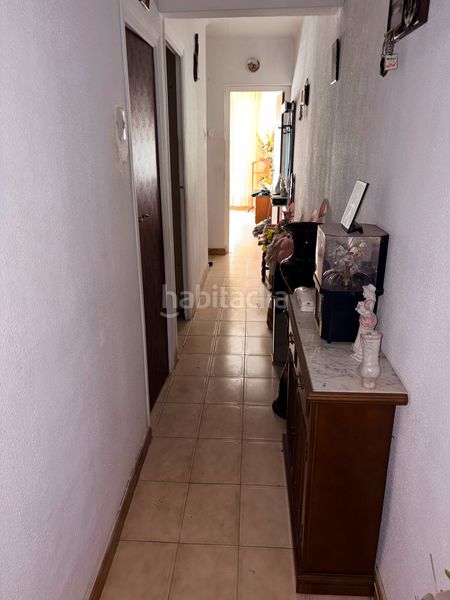 Foto 5ea0f9e1-2f92-4eef-a3aa-8dcdb5014284. Pis a Sant Crist Badalona