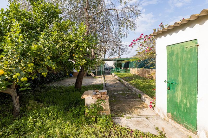 Foto 126fede3-4c75-4085-9e21-f2a3e8d4d8aa. Casa a S´Arracó Andratx