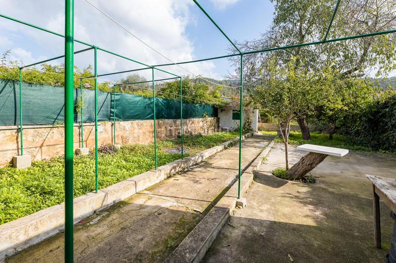 Foto 21b9b826-e635-4cd9-9740-054038e890fa. Casa  zona sarracó en S´Arracó Andratx