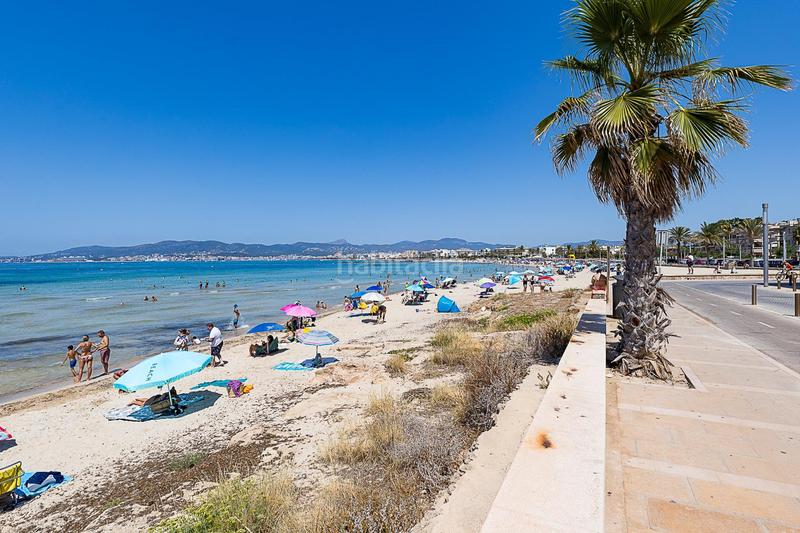 Foto 6f5224ef-6c4f-4865-aac0-ff64f0762283. Flat in Ciudad Jardín Palma de Mallorca