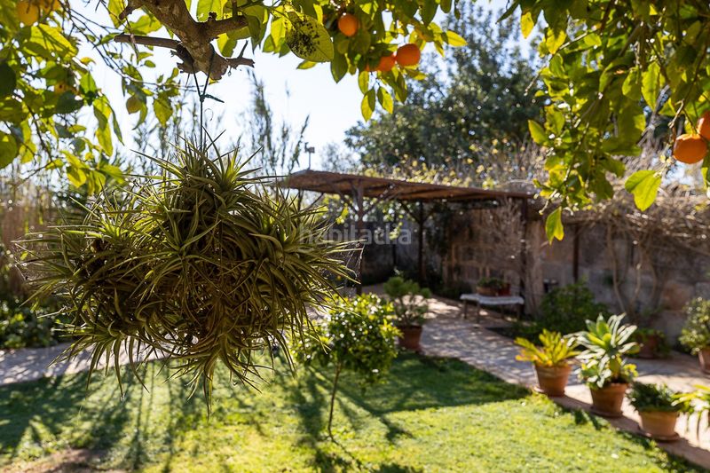 Foto f9279411-032b-4957-85e1-91aeb90eae43. Casa amb aparcament a Llucmajor interior Llucmajor