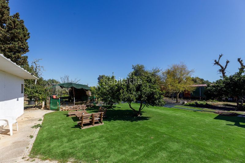 Foto 2b78dc33-f391-4d95-a8eb-dfcb9188ea8a. Masia amb aparcament piscina a Llucmajor interior Llucmajor