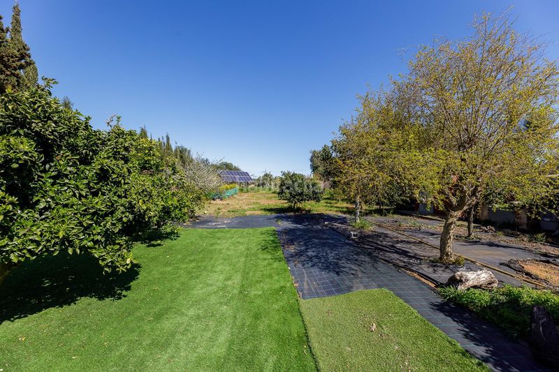 Foto 8d8353f6-6138-45b7-9cac-314fcf05e225. Masia amb aparcament piscina a Llucmajor interior Llucmajor