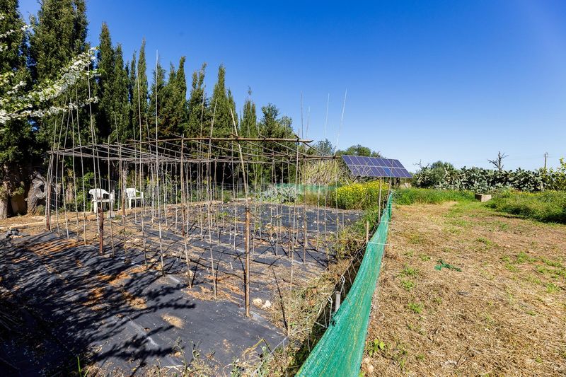 Foto b930fac8-0848-4dac-b3f3-22390bfaeba8. Masia amb aparcament piscina a Llucmajor interior Llucmajor