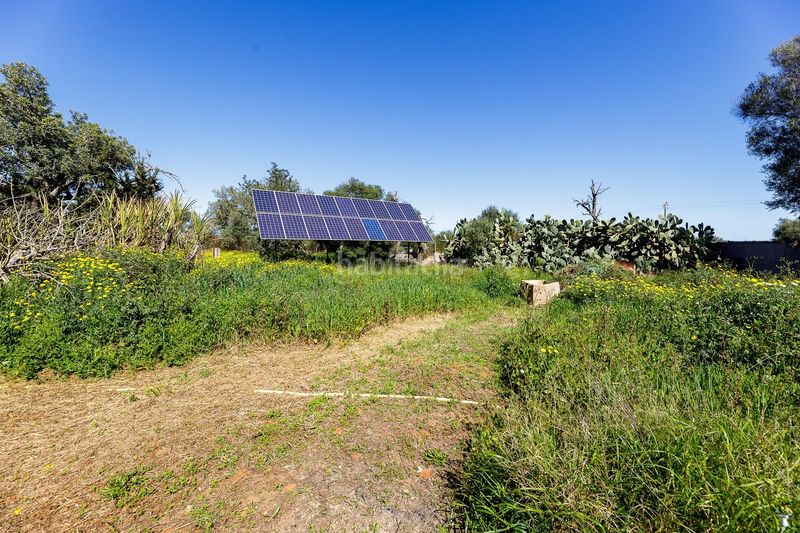 Foto dede171d-2cdf-418f-9eae-539a9ad59098. Masia amb aparcament piscina a Llucmajor interior Llucmajor