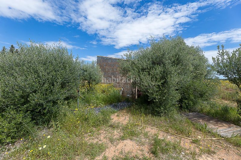 Foto 09f5c584-fb4d-4acb-8de1-cd0d8e935ad8. Finca rústica a Santa María del Camí