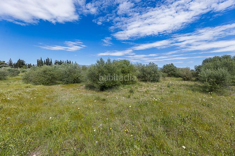 Foto 0e502681-d8cb-43c5-b256-4c39eae4e81a. Finca rústica a Santa María del Camí