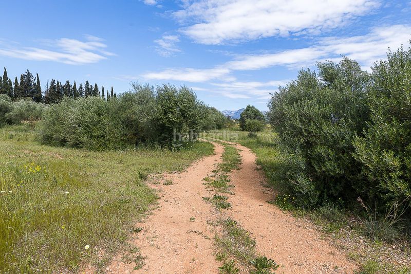 Foto 19346f93-2759-4a56-83c4-c9bd8121fdf1. Finca rústica a Santa María del Camí