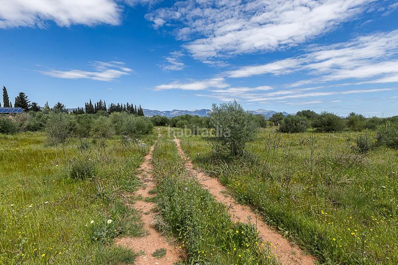 Foto 4a48ea00-25ad-4cf5-936c-858c95fc862e. Finca rústica a Santa María del Camí