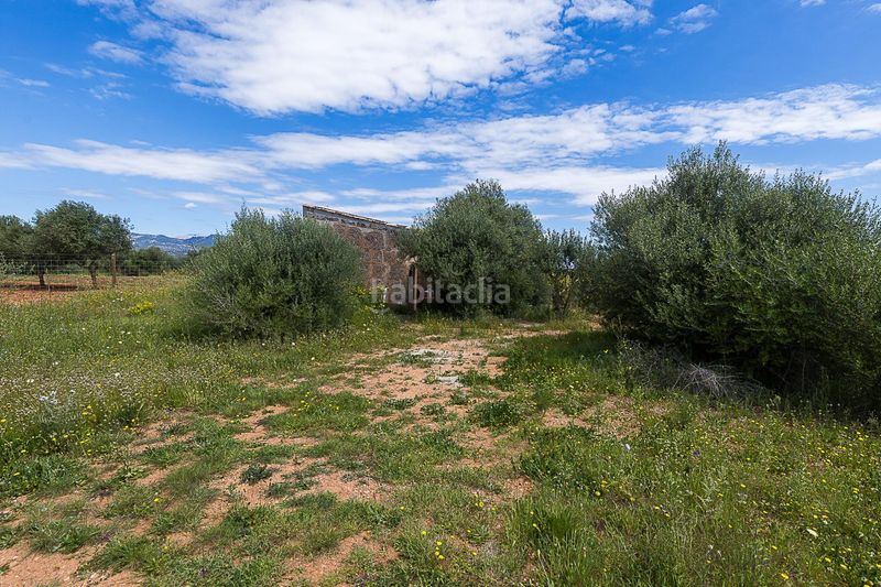 Foto 63d18463-cf08-4c45-9dda-a3cad7577af6. Finca rústica a Santa María del Camí