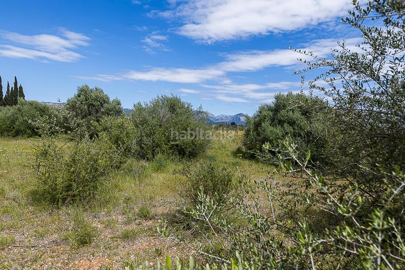 Foto 7b2efca1-c715-4c0c-984f-fdf8f707fec3. Finca rústica a Santa María del Camí