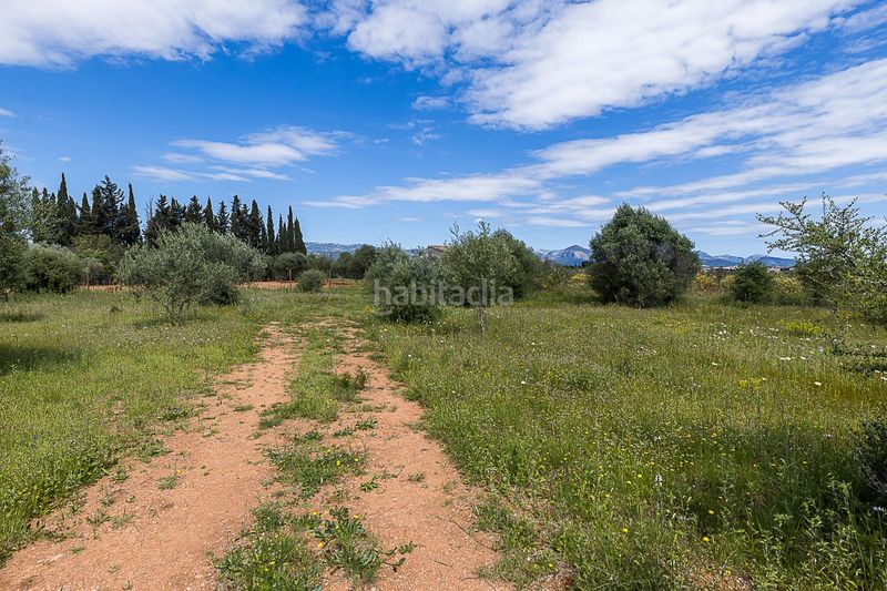 Foto 7be7836e-33a3-4fa4-b412-be60c9e35853. Finca rústica a Santa María del Camí